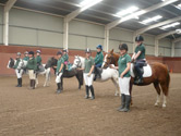 Horse Riding Lessons