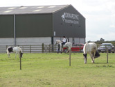 Horse Riding Lessons