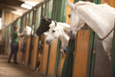 Oxmardyke Equestrian Centre