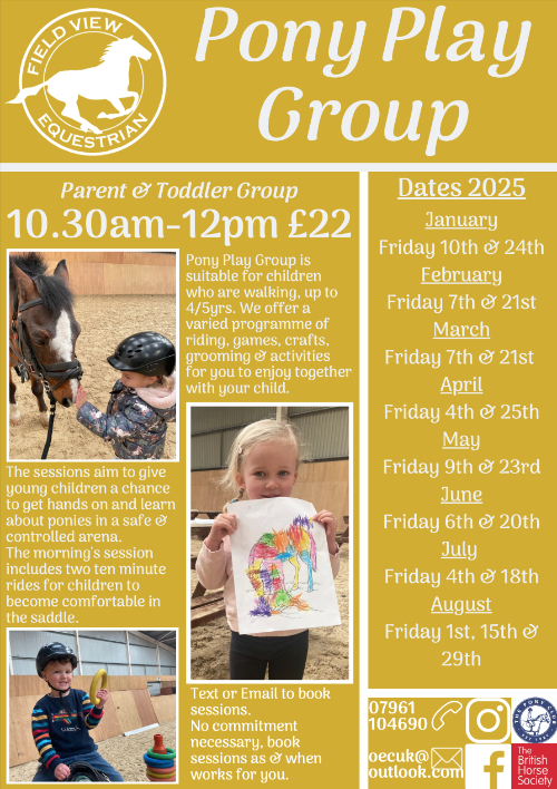 Pony Play Group